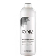 Kydra Post Hair Color Shampoo - Технический шампунь для окрашенных и блондированных волос 1000мл